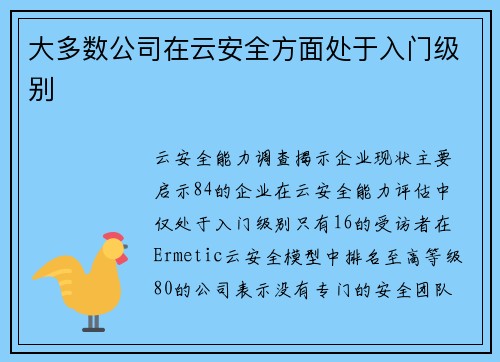大多数公司在云安全方面处于入门级别 