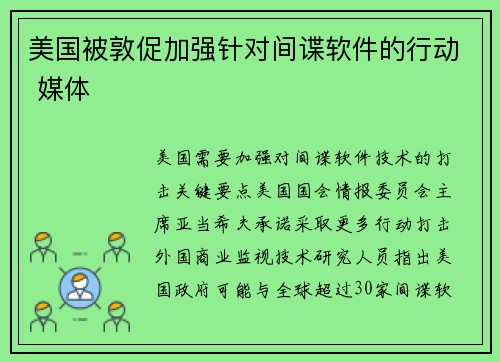 美国被敦促加强针对间谍软件的行动 媒体