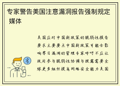 专家警告美国注意漏洞报告强制规定 媒体