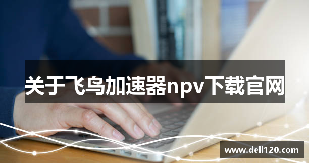 关于飞鸟加速器npv下载官网